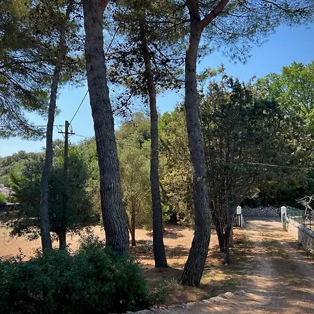 Casa vacanze Biokikko *