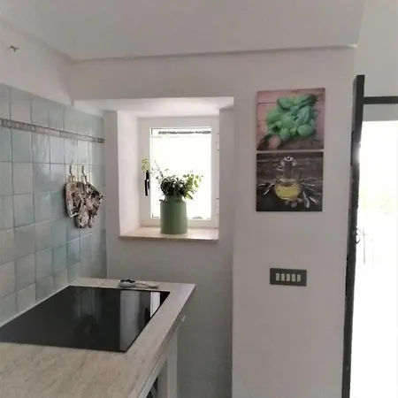 Biokikko Holiday home