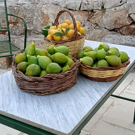 Biokikko